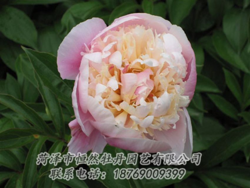 點擊查看詳細信息<br>標題：湖光山色 閱讀次數(shù)：1284