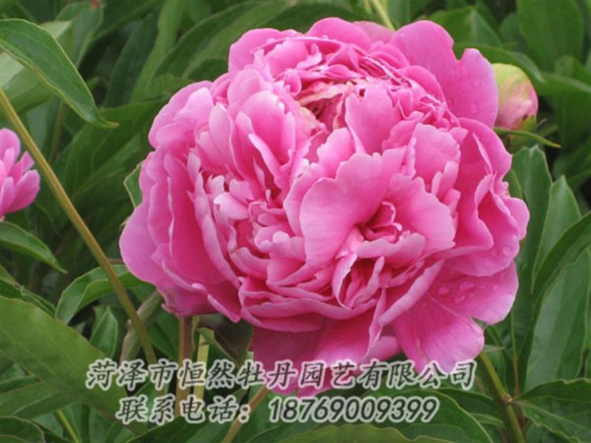 點擊查看詳細信息<br>標題：月照山河 閱讀次數：1060